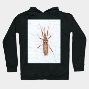 Spiny Assassin bug Hoodie